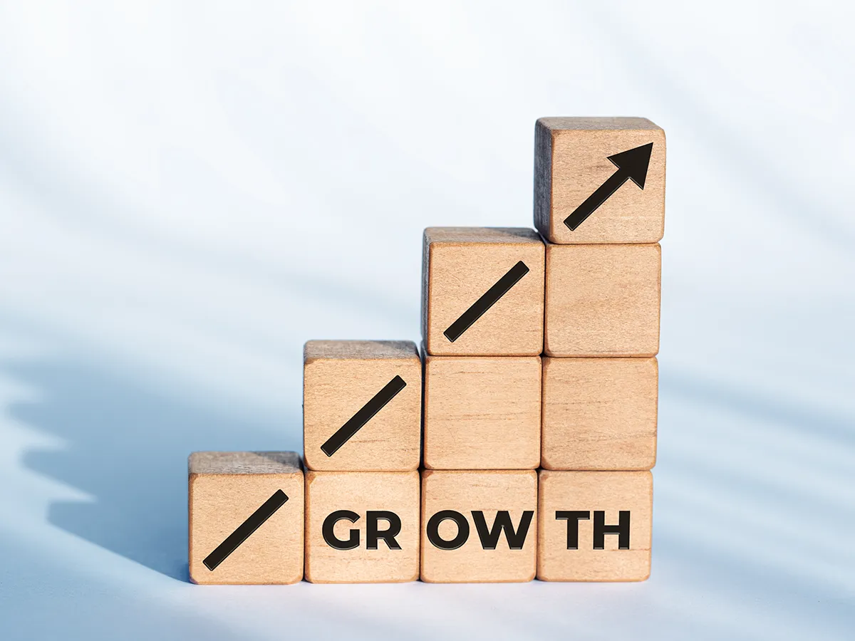 Brand growth strategy